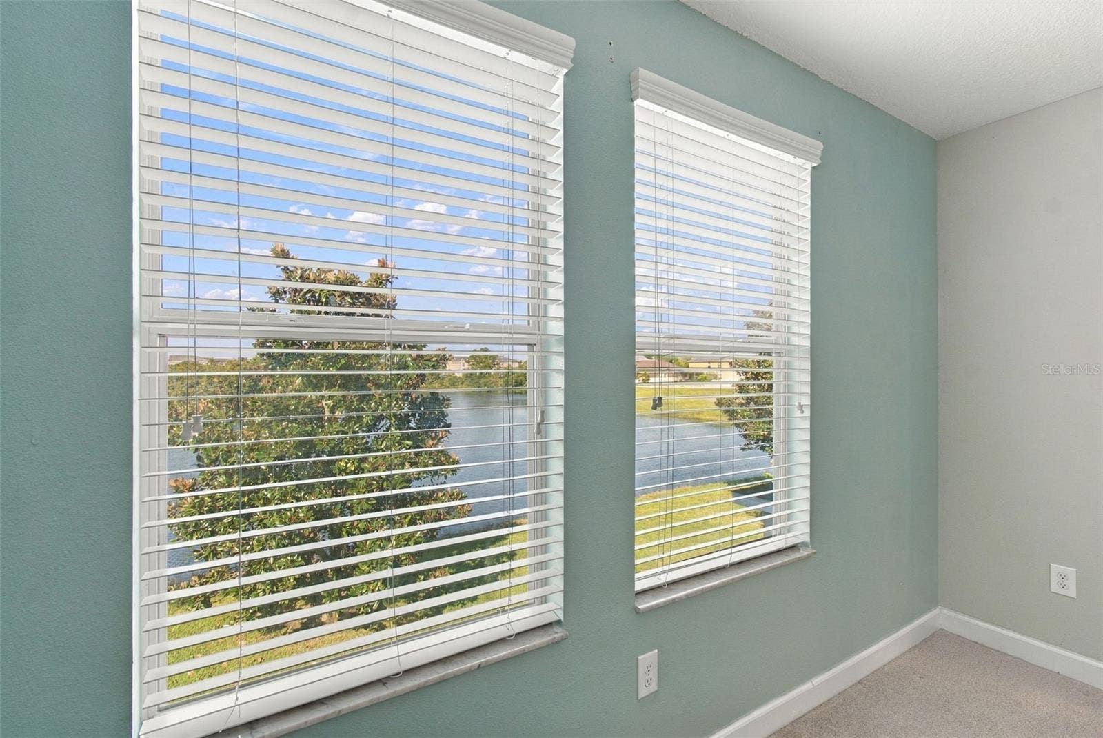 12317 BALLENTRAE FOREST DRIVE, Riverview, FL 33579 12317 BALLENTRAE FOREST DRIVE, Riverview, FL 33579