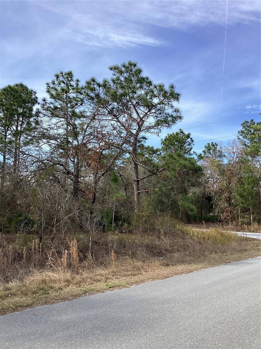 12449 INDIGO BUNTING ROAD, Weeki Wachee, FL 34614 12449 INDIGO BUNTING ROAD, Weeki Wachee, FL 34614