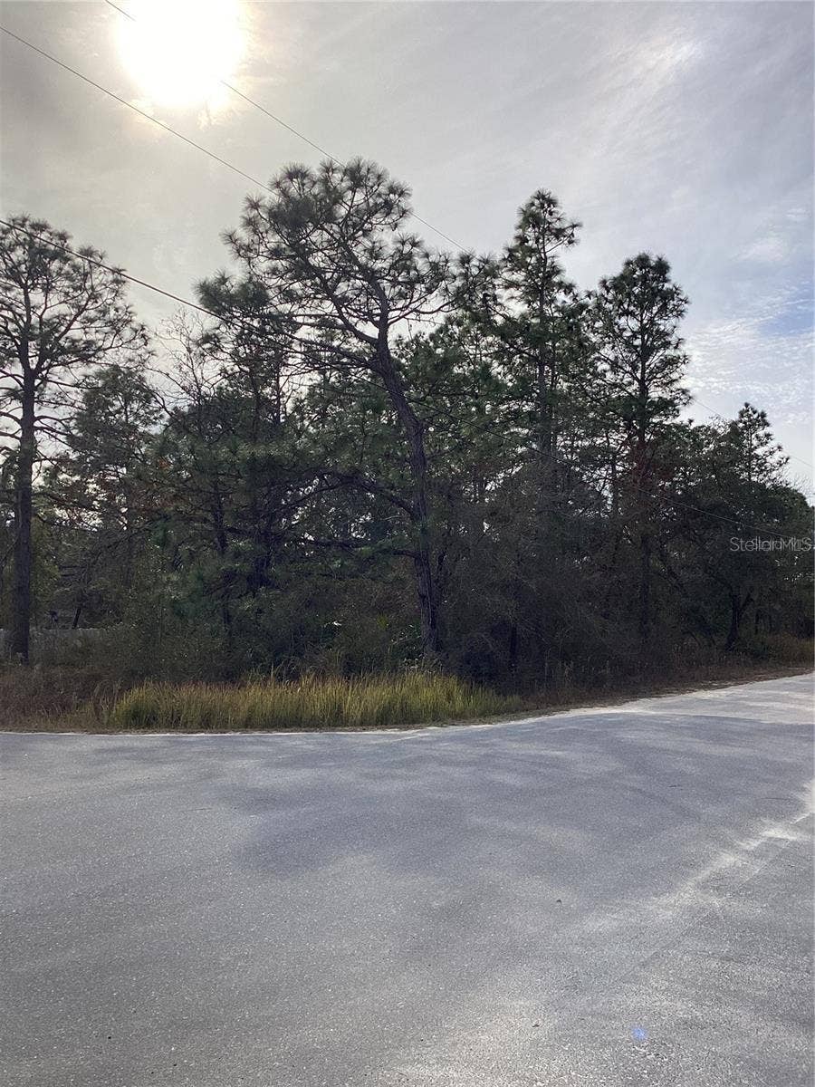 12449 INDIGO BUNTING ROAD, Weeki Wachee, FL 34614 12449 INDIGO BUNTING ROAD, Weeki Wachee, FL 34614