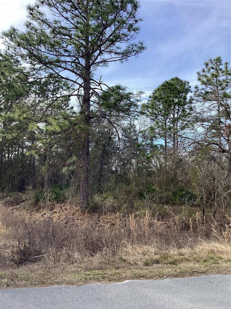 12449 INDIGO BUNTING ROAD, Weeki Wachee, FL 34614 12449 INDIGO BUNTING ROAD, Weeki Wachee, FL 34614