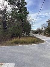 12449 INDIGO BUNTING ROAD, Weeki Wachee, FL 34614 12449 INDIGO BUNTING ROAD, Weeki Wachee, FL 34614