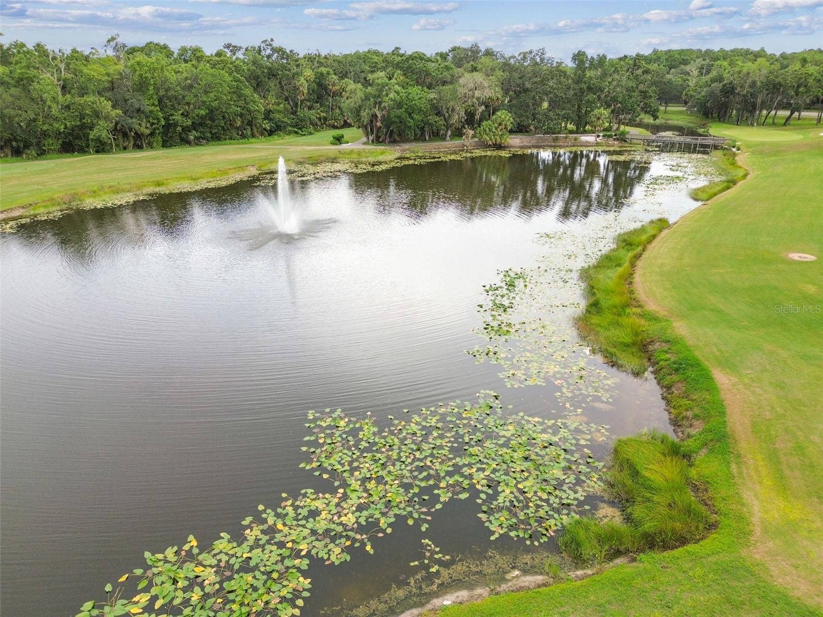 16102 ANCROFT COURT, Tampa, FL 33647 16102 ANCROFT COURT, Tampa, FL 33647