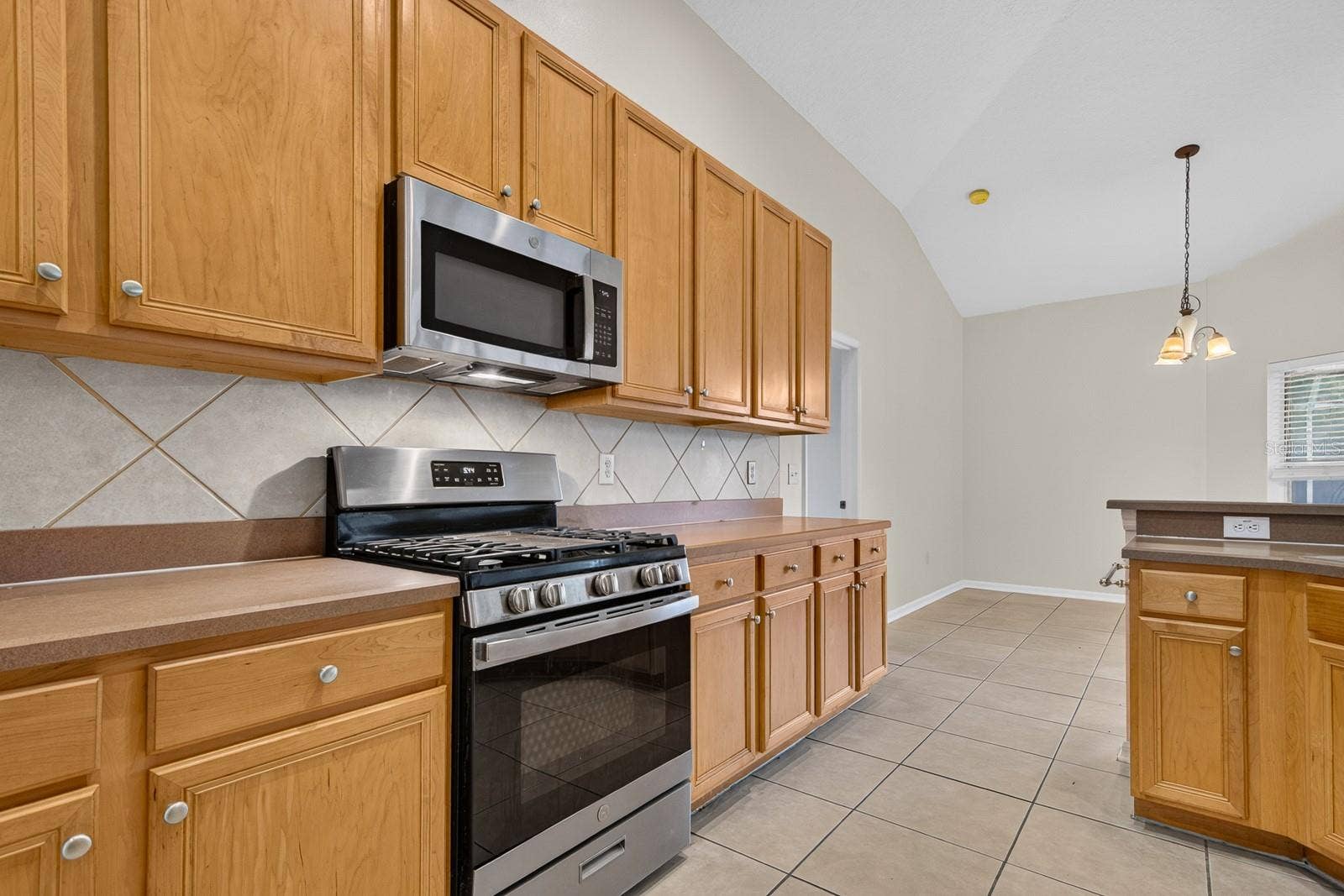 10527 SAN TRAVASO DRIVE, Tampa, FL 33647 Kitchen