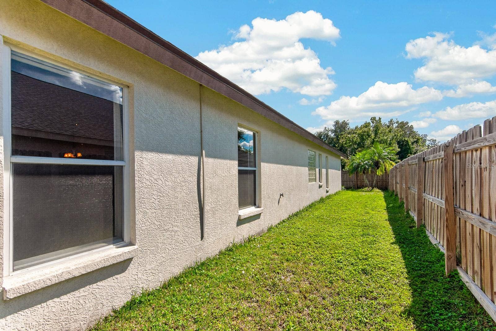 10527 SAN TRAVASO DRIVE, Tampa, FL 33647 Yard
