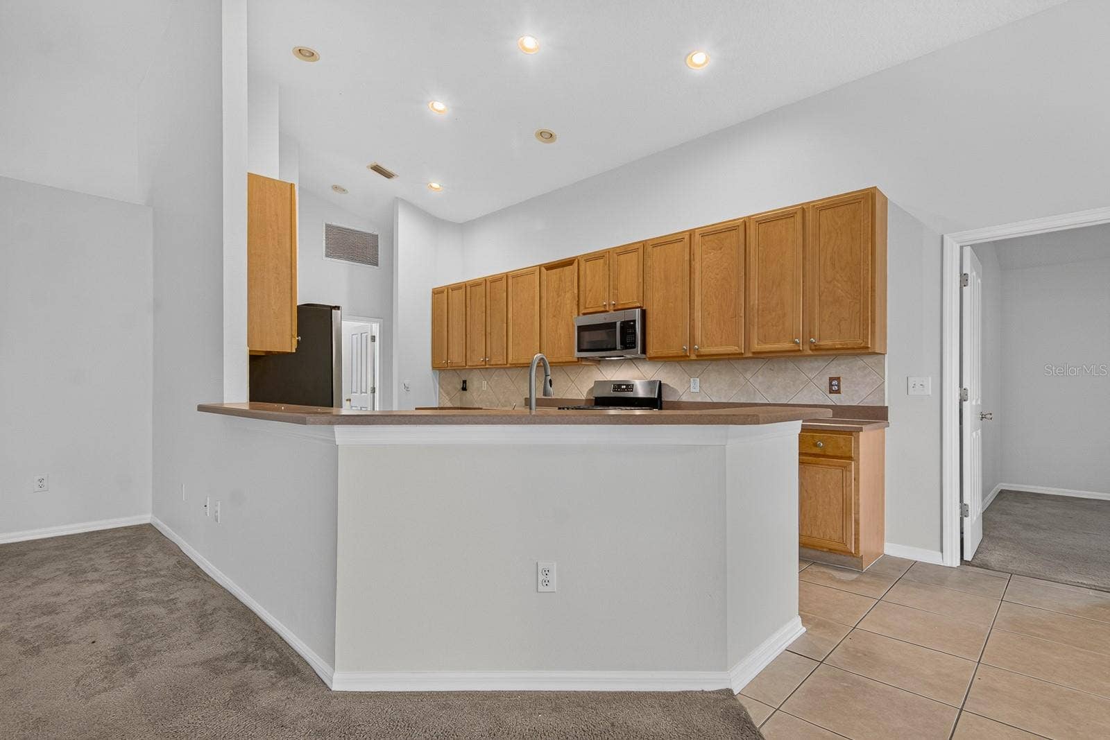 10527 SAN TRAVASO DRIVE, Tampa, FL 33647 Kitchen