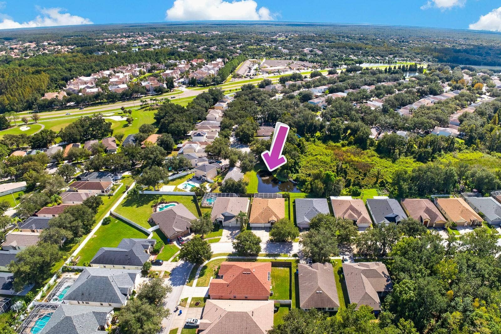 10527 SAN TRAVASO DRIVE, Tampa, FL 33647 10527 SAN TRAVASO DRIVE, Tampa, FL 33647
