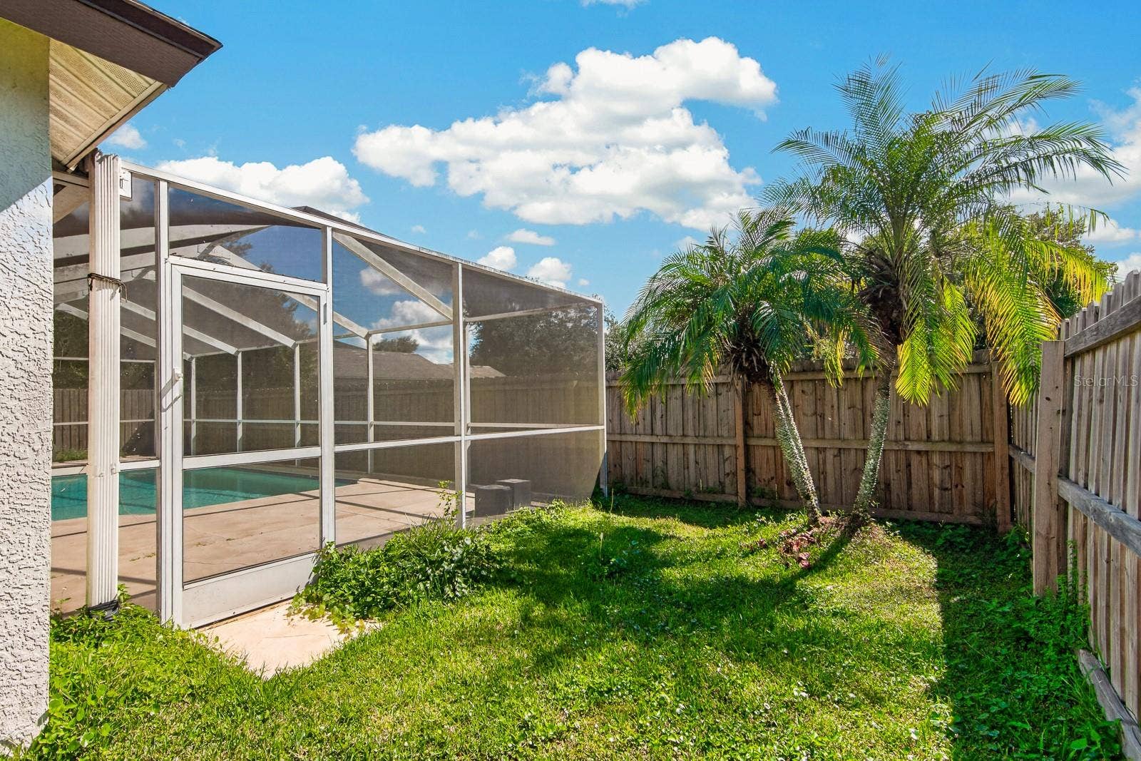 10527 SAN TRAVASO DRIVE, Tampa, FL 33647 Yard