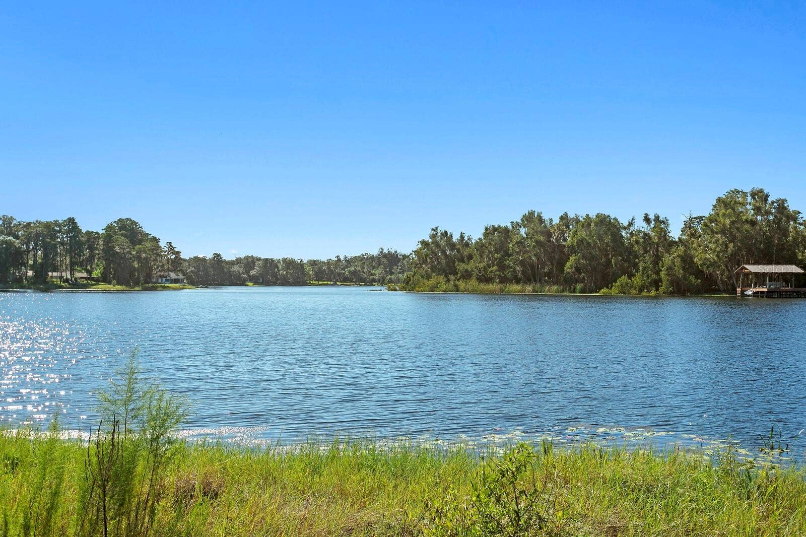 17127 RAINBOW TERRACE, Odessa, FL 33556