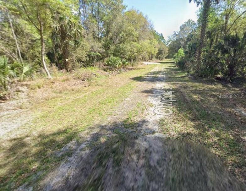 112 CHIPOLA DRIVE, Georgetown, FL 32139 112 CHIPOLA DRIVE, Georgetown, FL 32139