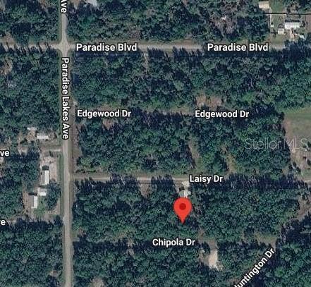 112 CHIPOLA DRIVE, Georgetown, FL 32139 112 CHIPOLA DRIVE, Georgetown, FL 32139