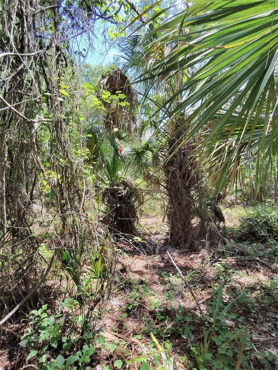 112 CHIPOLA DRIVE, Georgetown, FL 32139 112 CHIPOLA DRIVE, Georgetown, FL 32139