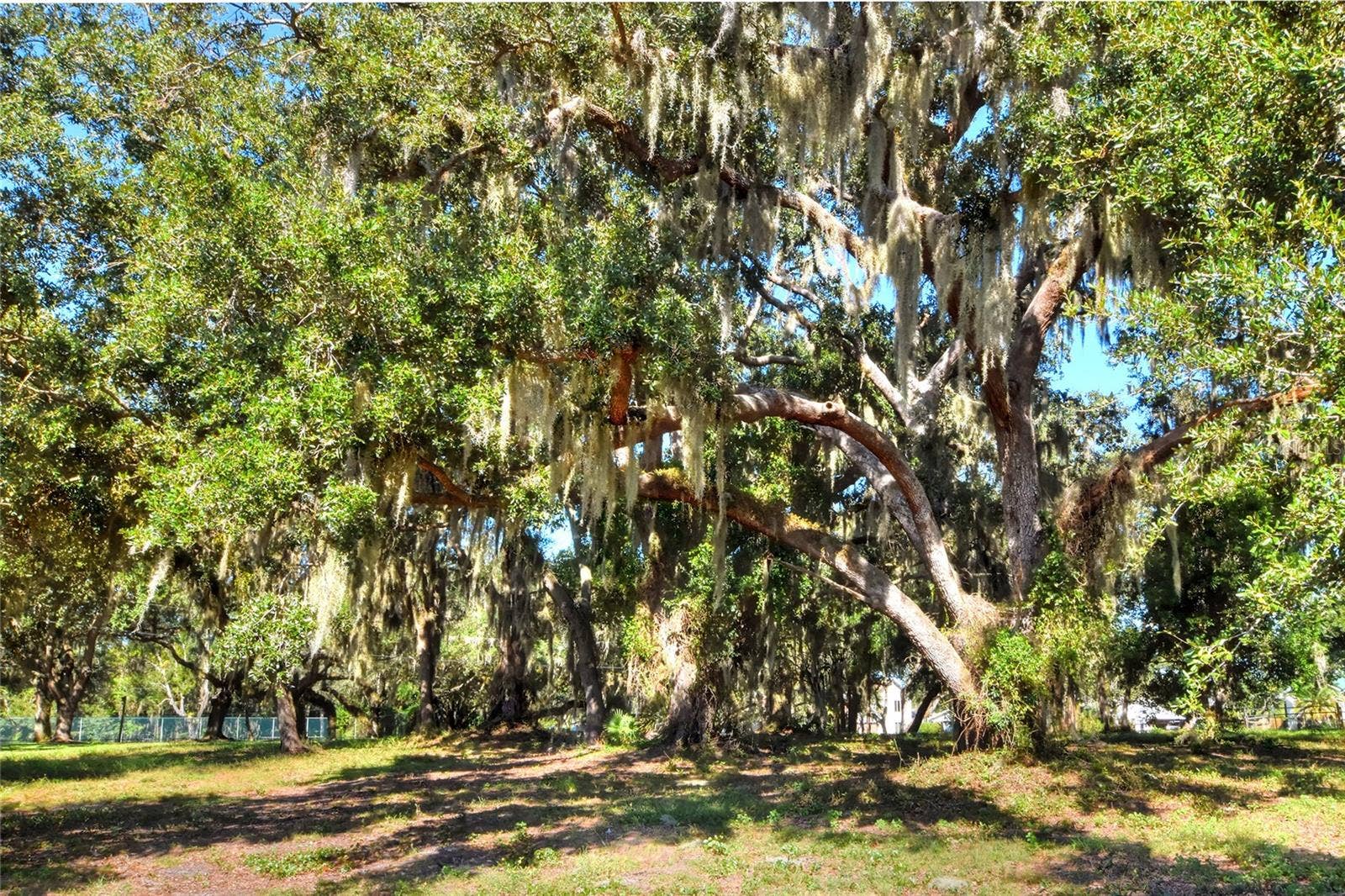 MANGHAM ROAD, Babson Park, FL 33827 MANGHAM ROAD, Babson Park, FL 33827