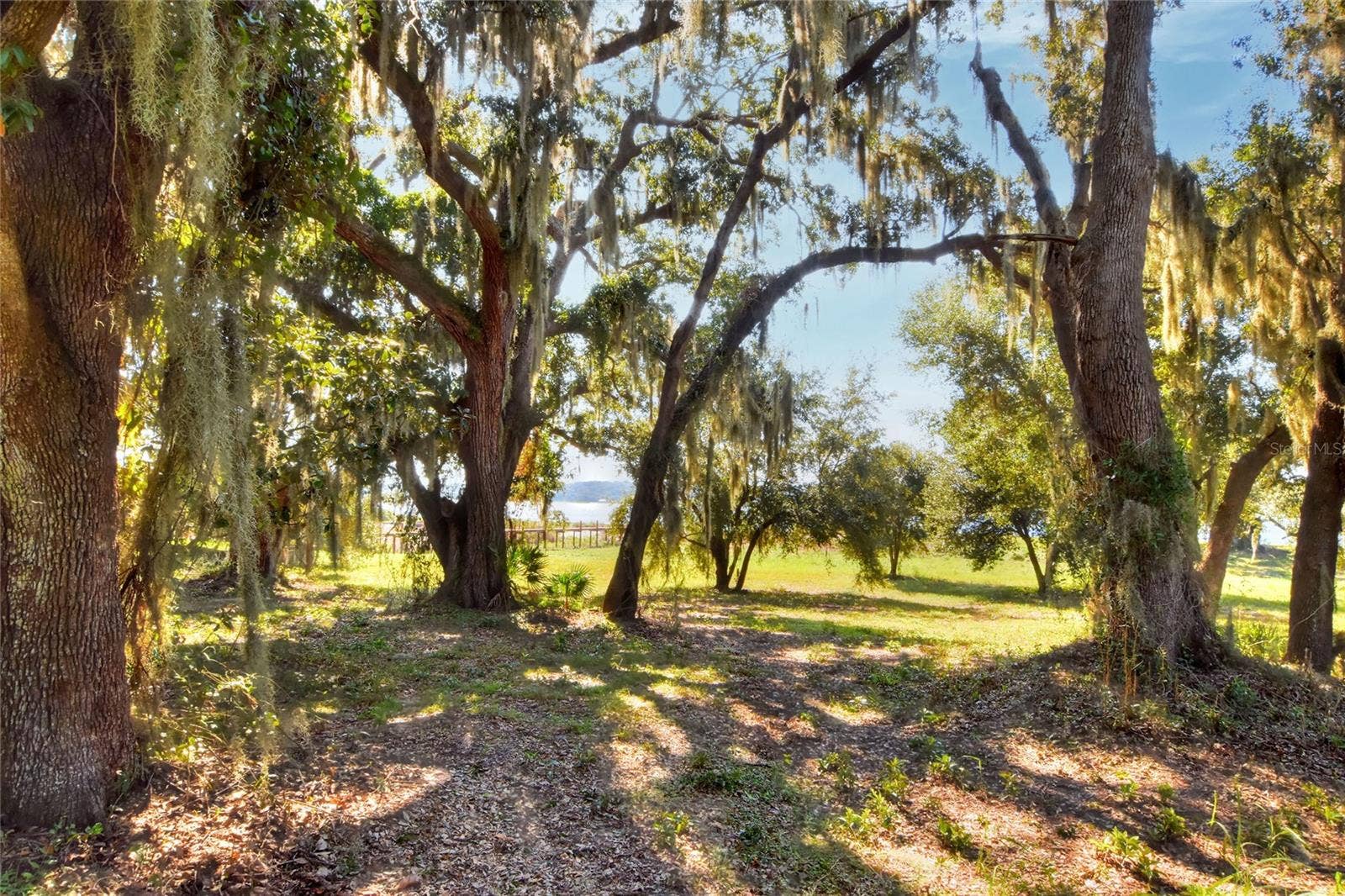 MANGHAM ROAD, Babson Park, FL 33827 MANGHAM ROAD, Babson Park, FL 33827