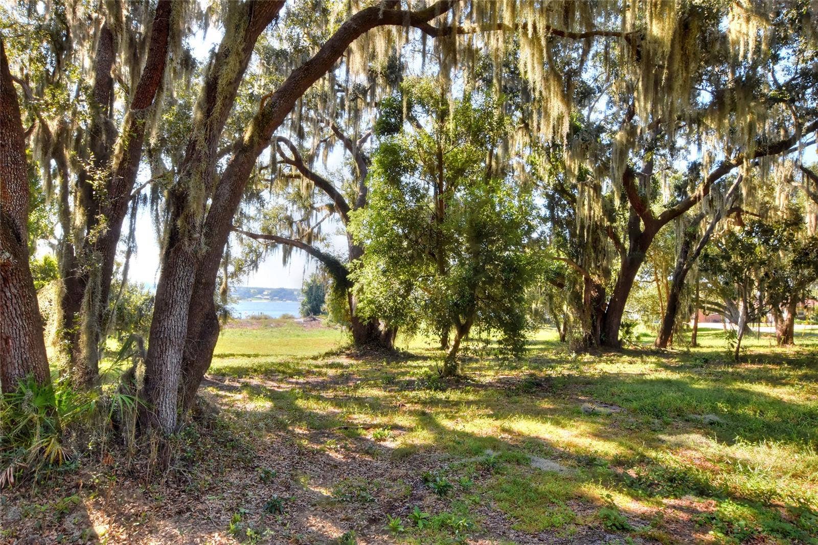 MANGHAM ROAD, Babson Park, FL 33827 MANGHAM ROAD, Babson Park, FL 33827