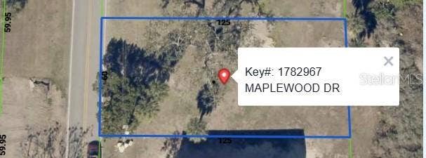 MAPLEWOOD DRIVE, Hernando Beach, FL 34607