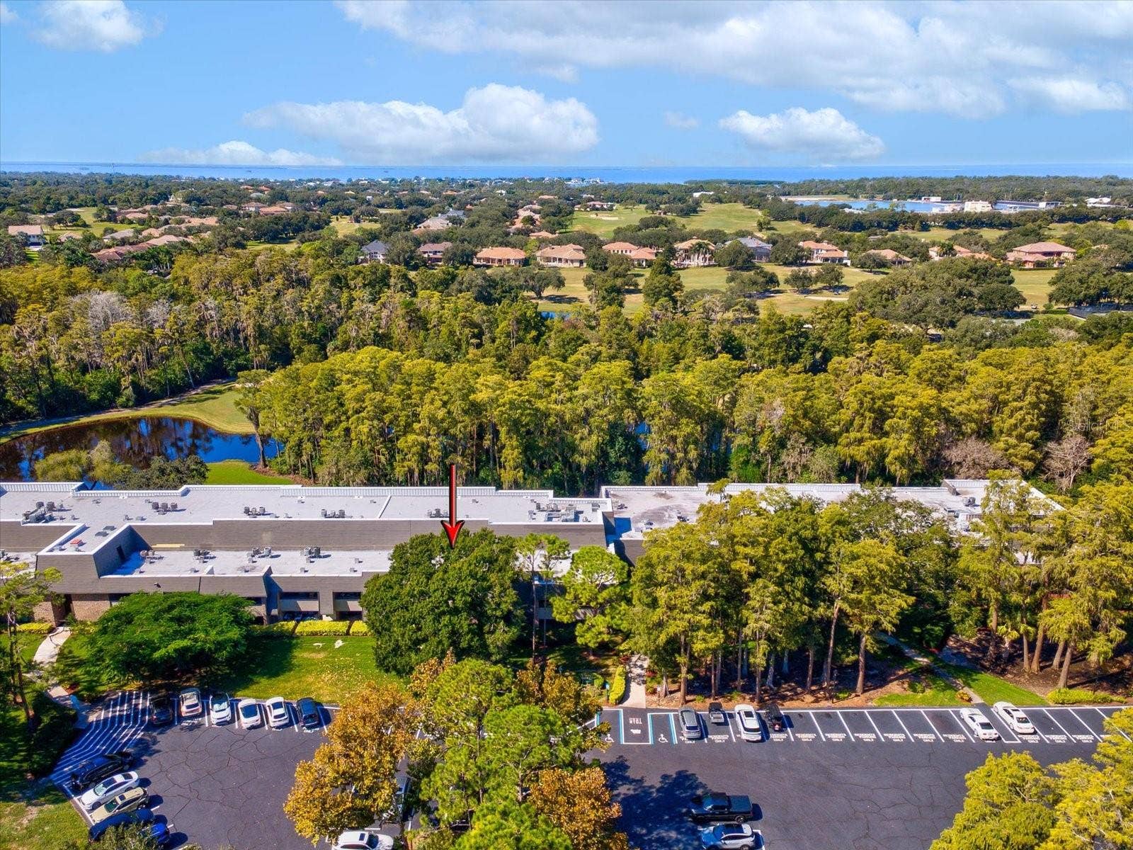 36750 US HIGHWAY 19 N, #2372, Palm Harbor, FL 34683 36750 US HIGHWAY 19 N, #2372, Palm Harbor, FL 34683