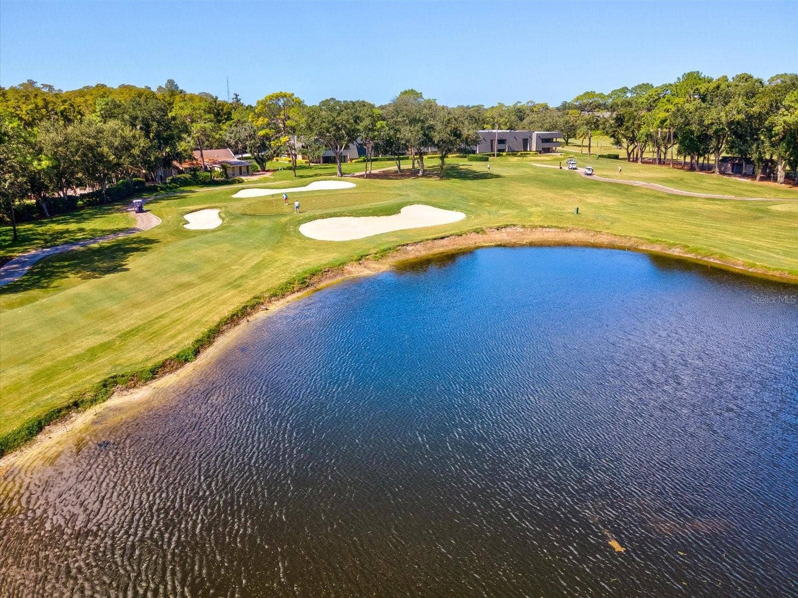 36750 US HIGHWAY 19 N, #2372, Palm Harbor, FL 34683 36750 US HIGHWAY 19 N, #2372, Palm Harbor, FL 34683