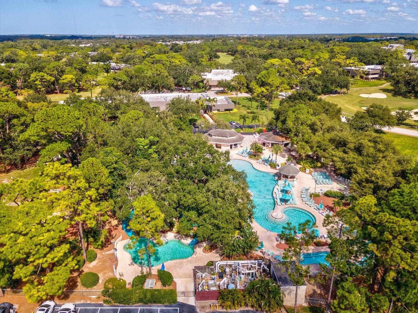 36750 US HIGHWAY 19 N, #2372, Palm Harbor, FL 34683 36750 US HIGHWAY 19 N, #2372, Palm Harbor, FL 34683