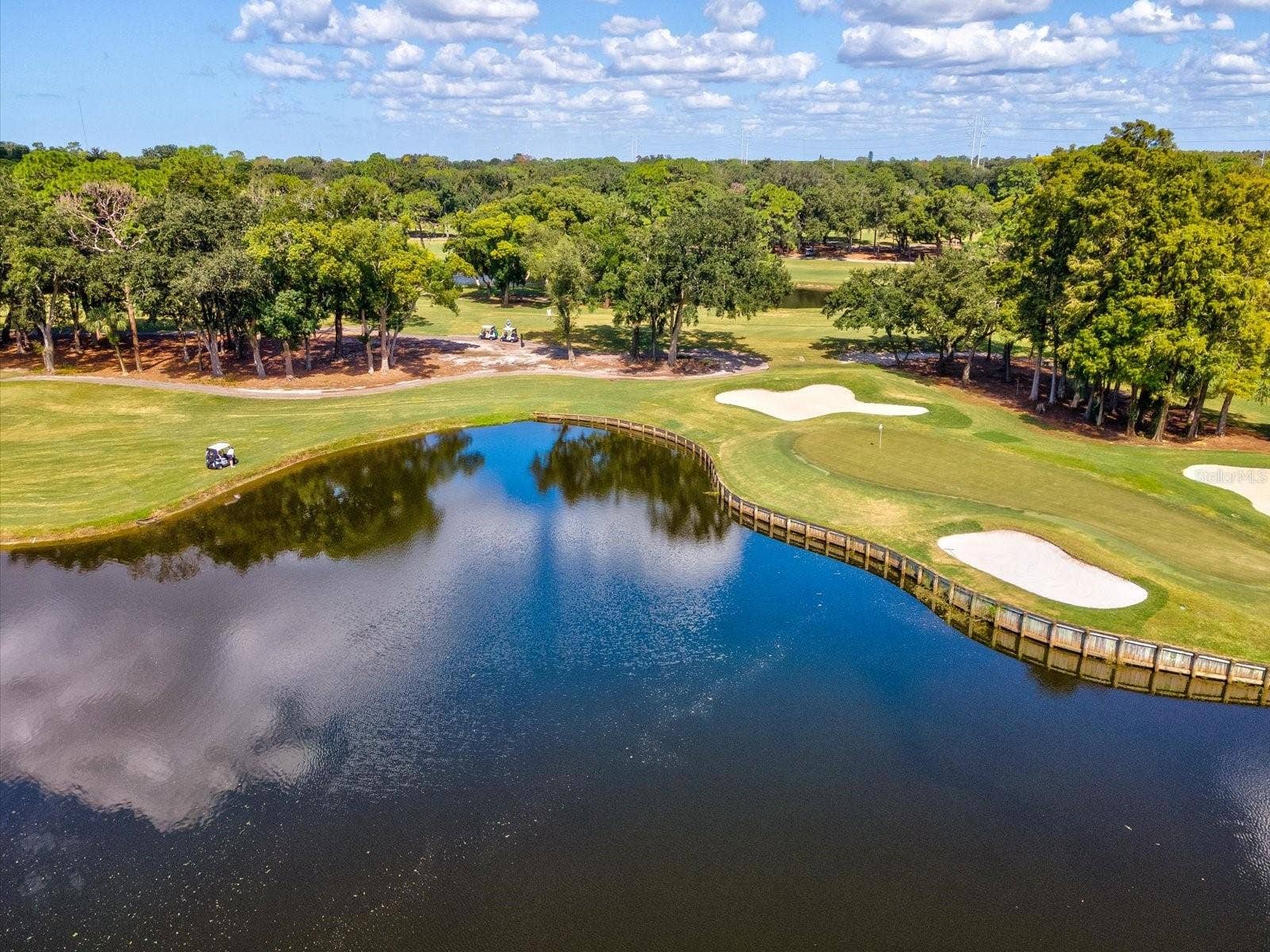 36750 US HIGHWAY 19 N, #2372, Palm Harbor, FL 34683 36750 US HIGHWAY 19 N, #2372, Palm Harbor, FL 34683