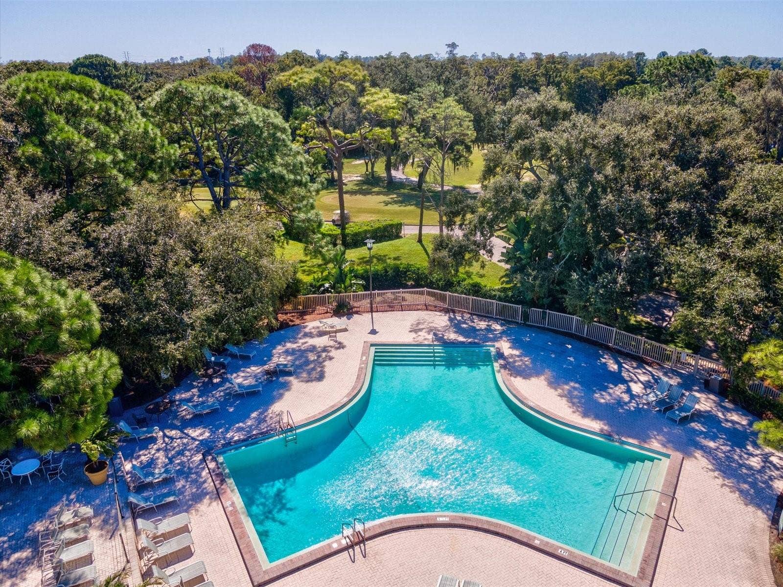 36750 US HIGHWAY 19 N, #2372, Palm Harbor, FL 34683 36750 US HIGHWAY 19 N, #2372, Palm Harbor, FL 34683
