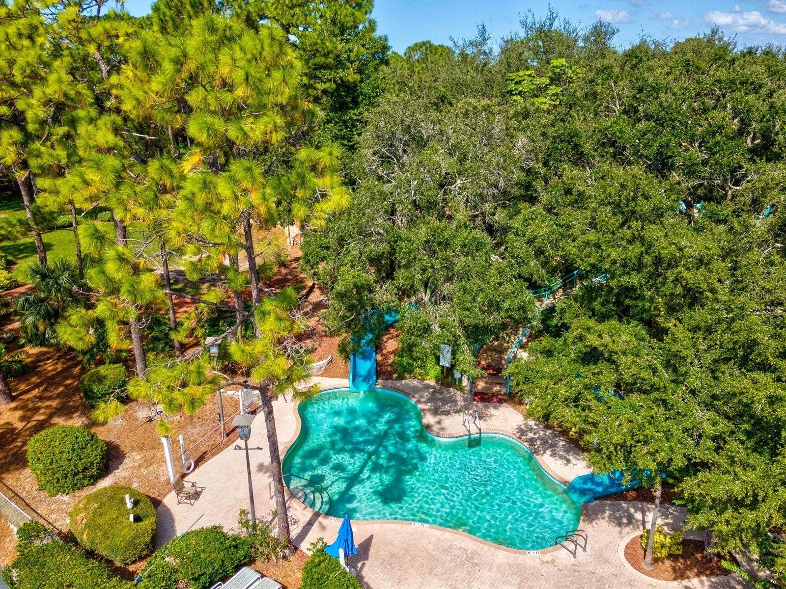 36750 US HIGHWAY 19 N, #2372, Palm Harbor, FL 34683 36750 US HIGHWAY 19 N, #2372, Palm Harbor, FL 34683
