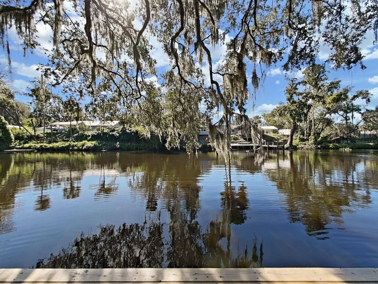 4218 ALAFIA BLVD, Brandon, FL 33511 View from Dock