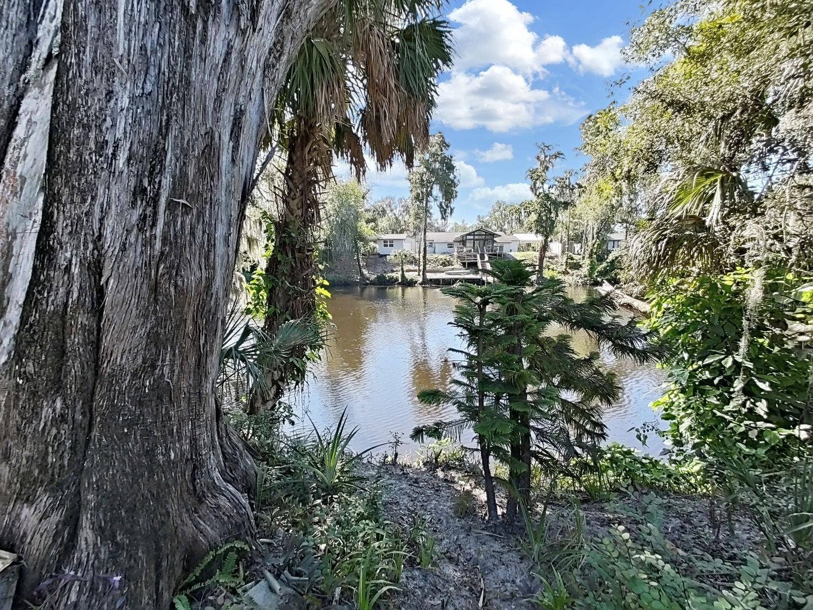 4218 ALAFIA BLVD, Brandon, FL 33511 View from Yard