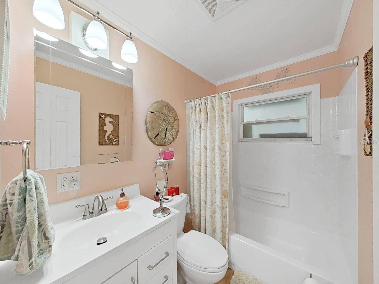 4218 ALAFIA BLVD, Brandon, FL 33511 Bathroom 2