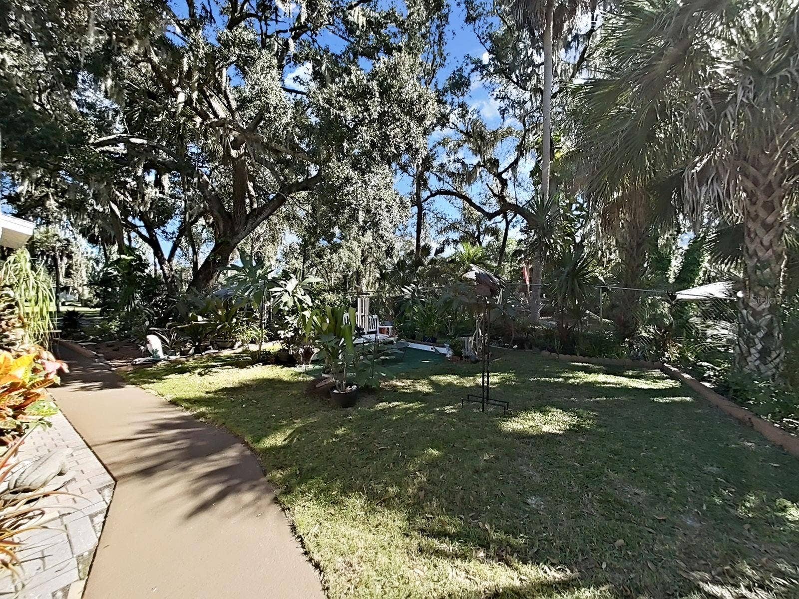 4218 ALAFIA BLVD, Brandon, FL 33511 Yard