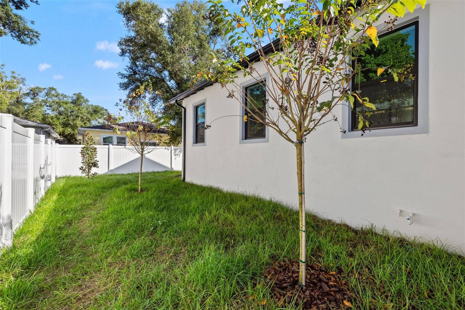 2910 N 25TH STREET, Tampa, FL 33605 Sideyard