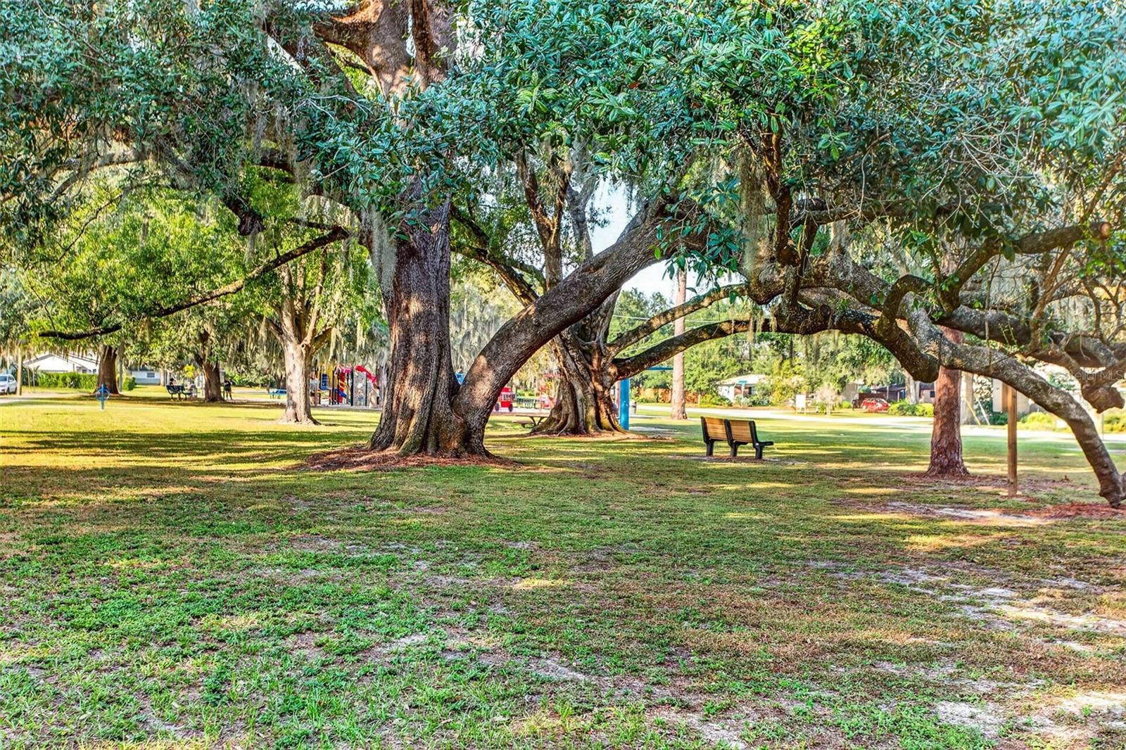 302 PARK RIDGE AVENUE, Temple Terrace, FL 33617 302 PARK RIDGE AVENUE, Temple Terrace, FL 33617