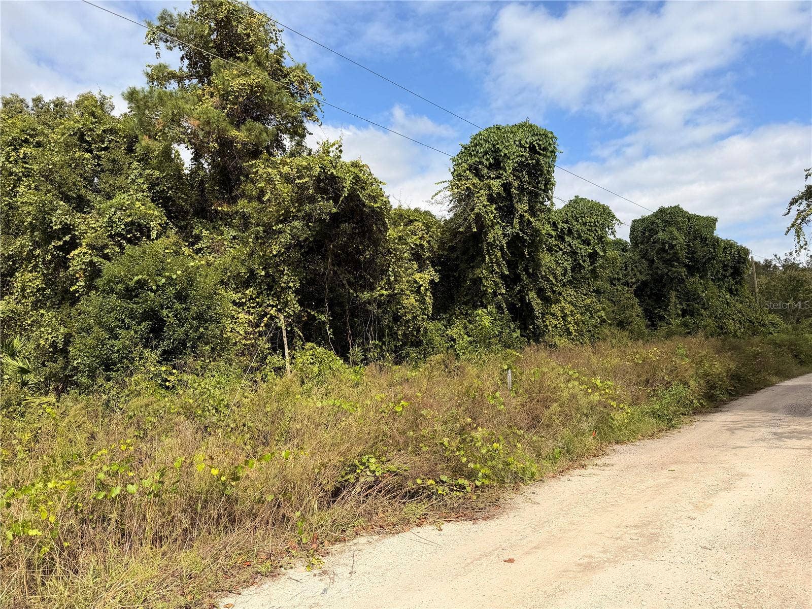 Lot 55 PALMETTO CIRCLE, Paisley, FL 32767