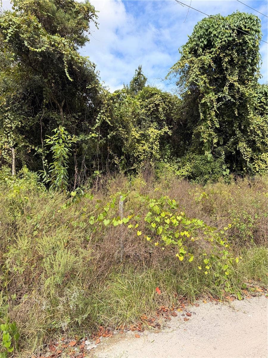 Lot 55 PALMETTO CIRCLE, Paisley, FL 32767