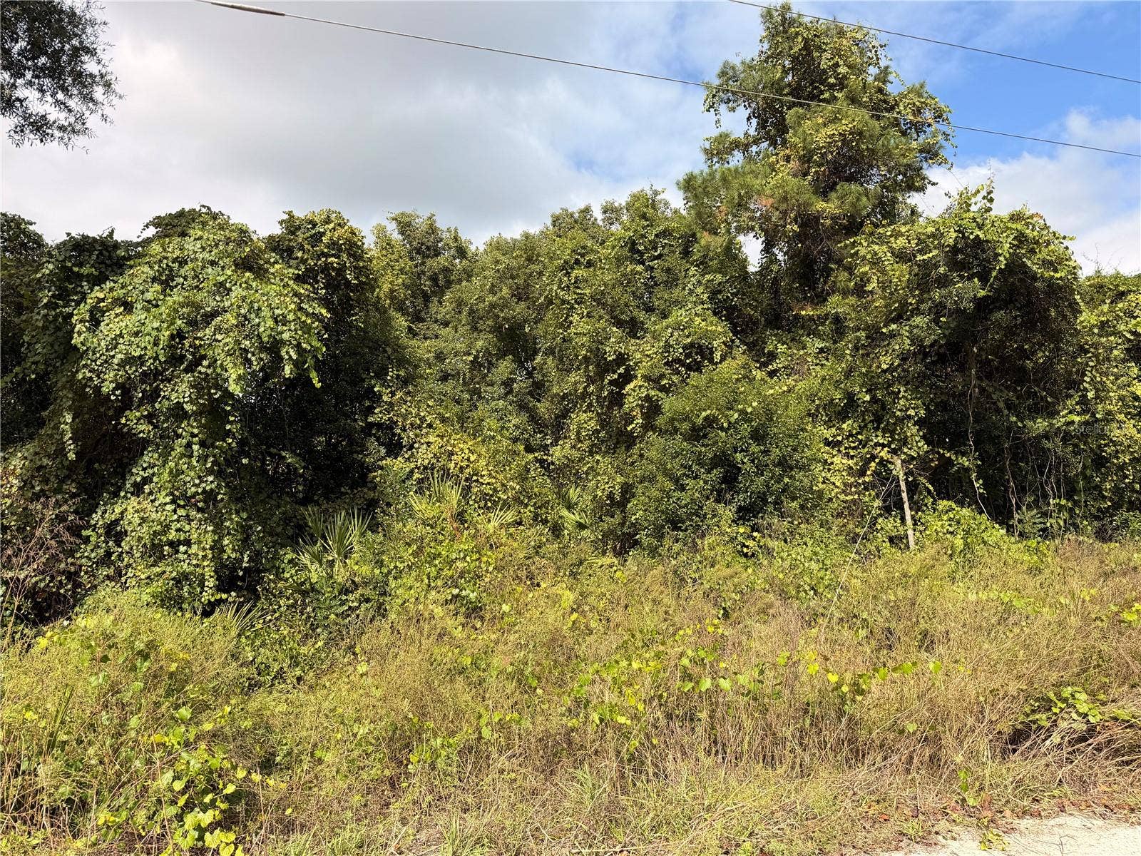 Lot 55 PALMETTO CIRCLE, Paisley, FL 32767
