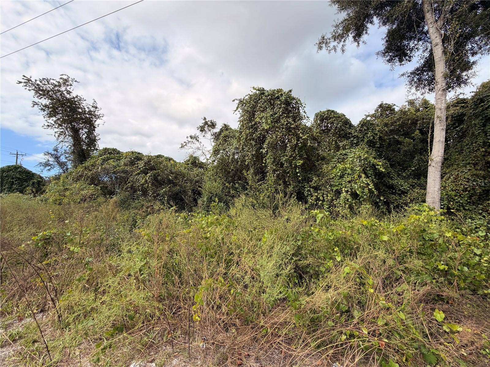 Lot 55 PALMETTO CIRCLE, Paisley, FL 32767