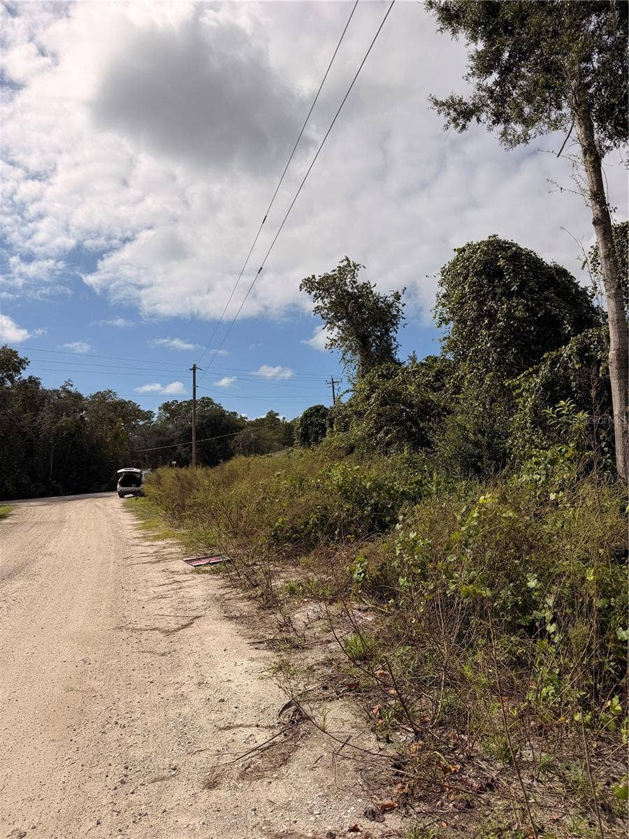 Lot 55 PALMETTO CIRCLE, Paisley, FL 32767