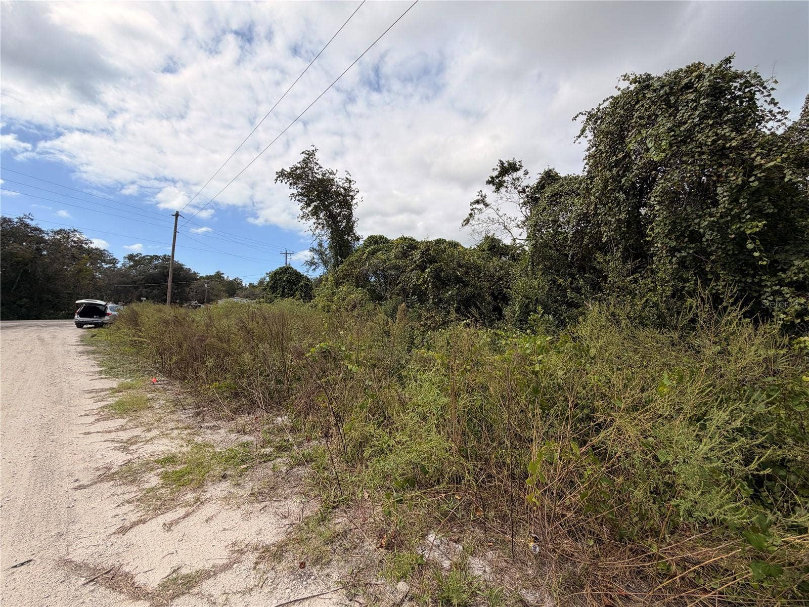 Lot 55 PALMETTO CIRCLE, Paisley, FL 32767