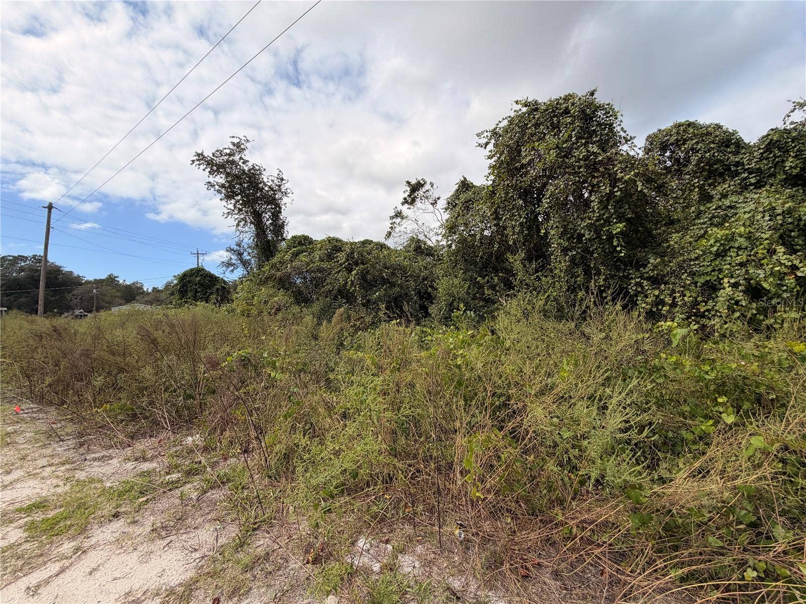 Lot 55 PALMETTO CIRCLE, Paisley, FL 32767