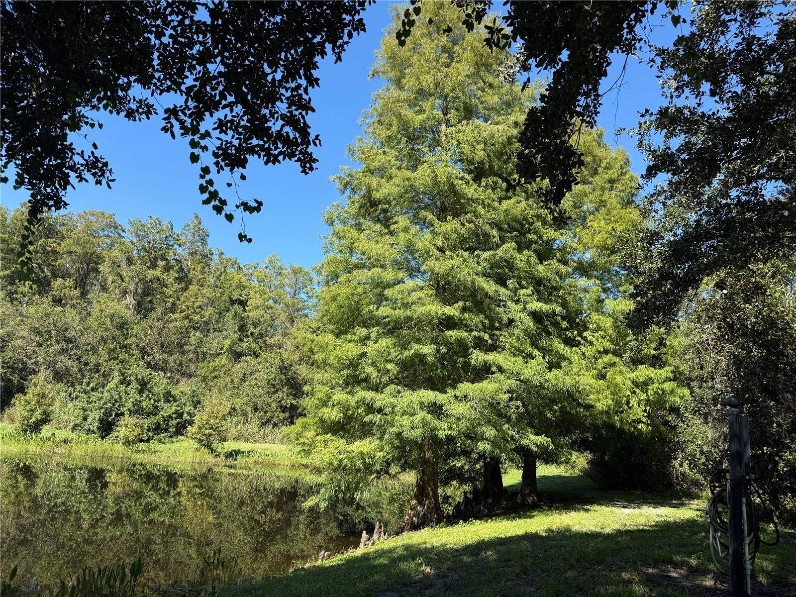 10445 WESTPARK PRESERVE BLVD, Tampa, FL 33625 10445 WESTPARK PRESERVE BLVD, Tampa, FL 33625