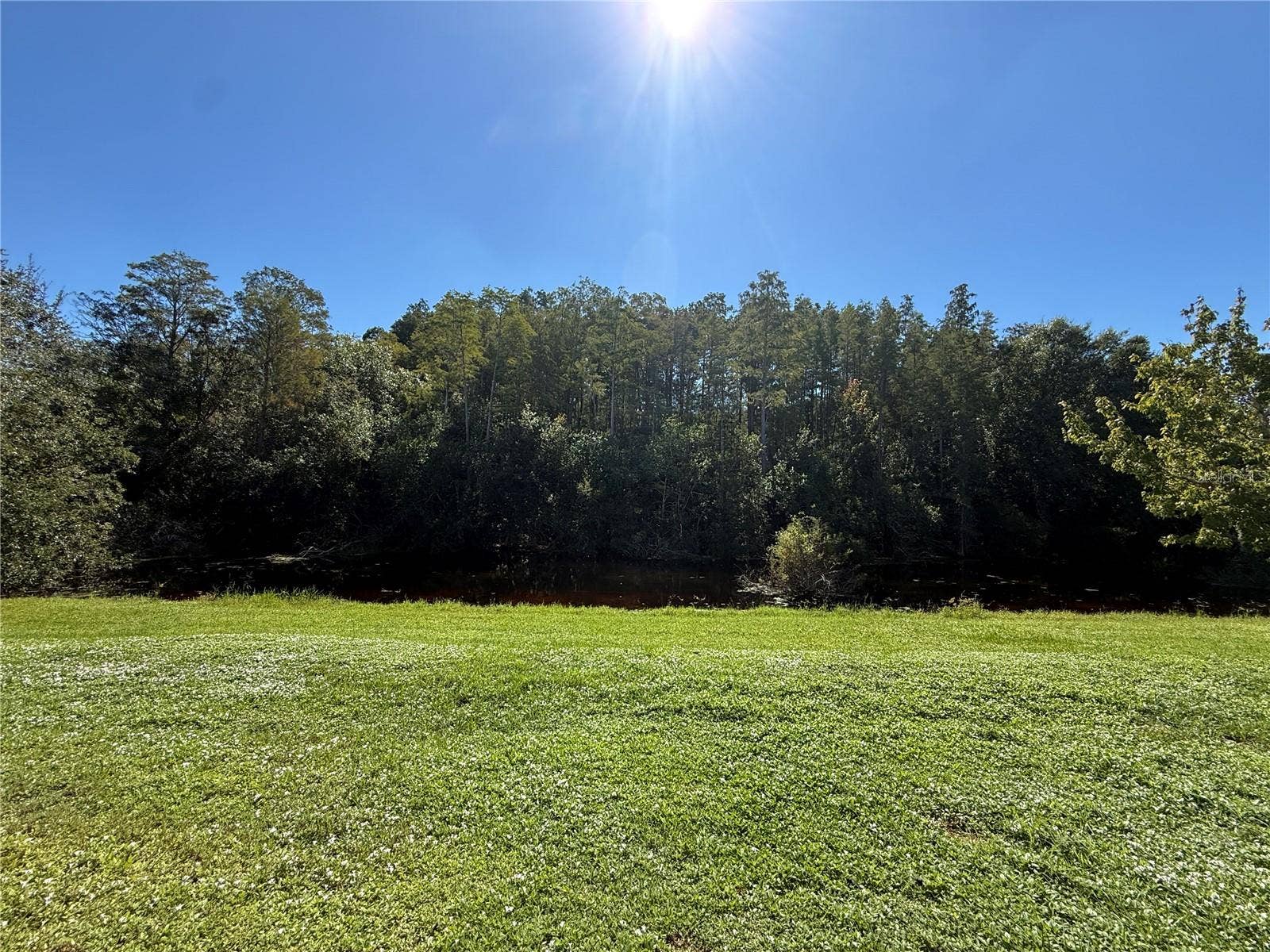 10445 WESTPARK PRESERVE BLVD, Tampa, FL 33625 10445 WESTPARK PRESERVE BLVD, Tampa, FL 33625