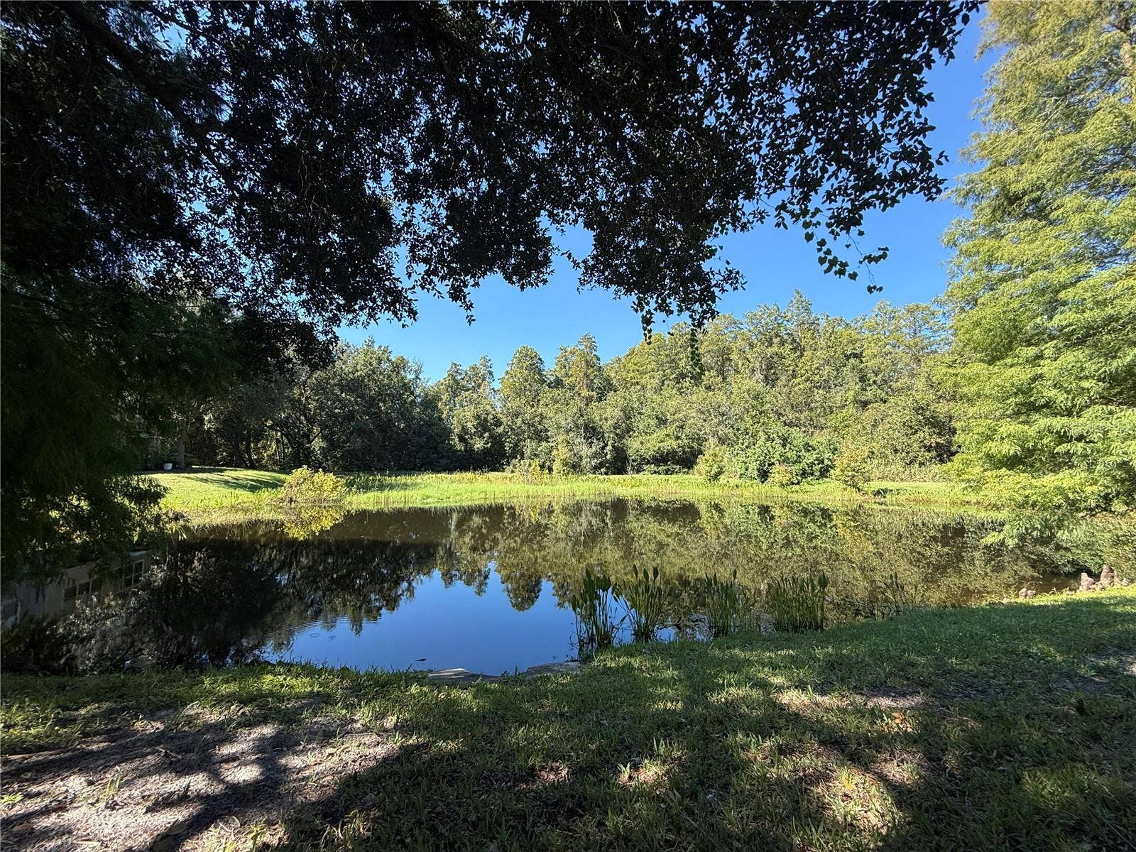 10445 WESTPARK PRESERVE BLVD, Tampa, FL 33625 10445 WESTPARK PRESERVE BLVD, Tampa, FL 33625