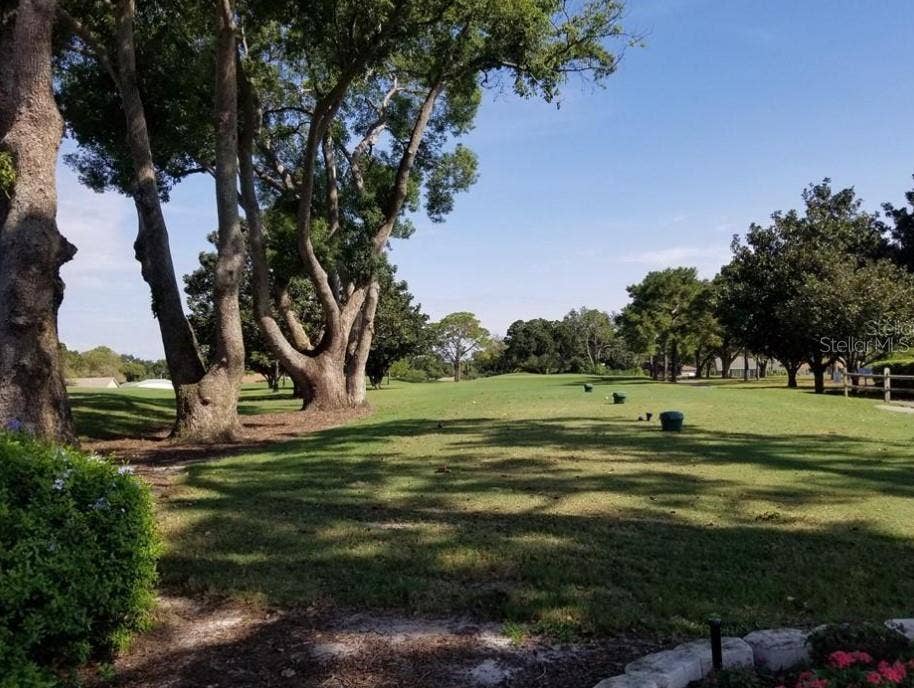 3109 MISSION GROVE DRIVE, #D, Palm Harbor, FL 34684 3109 MISSION GROVE DRIVE, #D, Palm Harbor, FL 34684