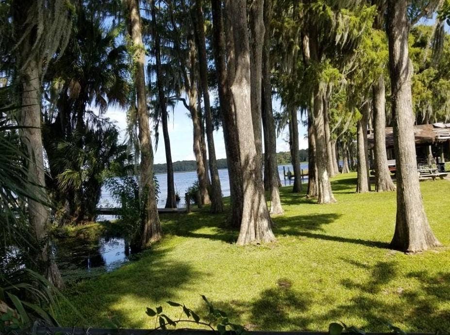 3109 MISSION GROVE DRIVE, #D, Palm Harbor, FL 34684 3109 MISSION GROVE DRIVE, #D, Palm Harbor, FL 34684