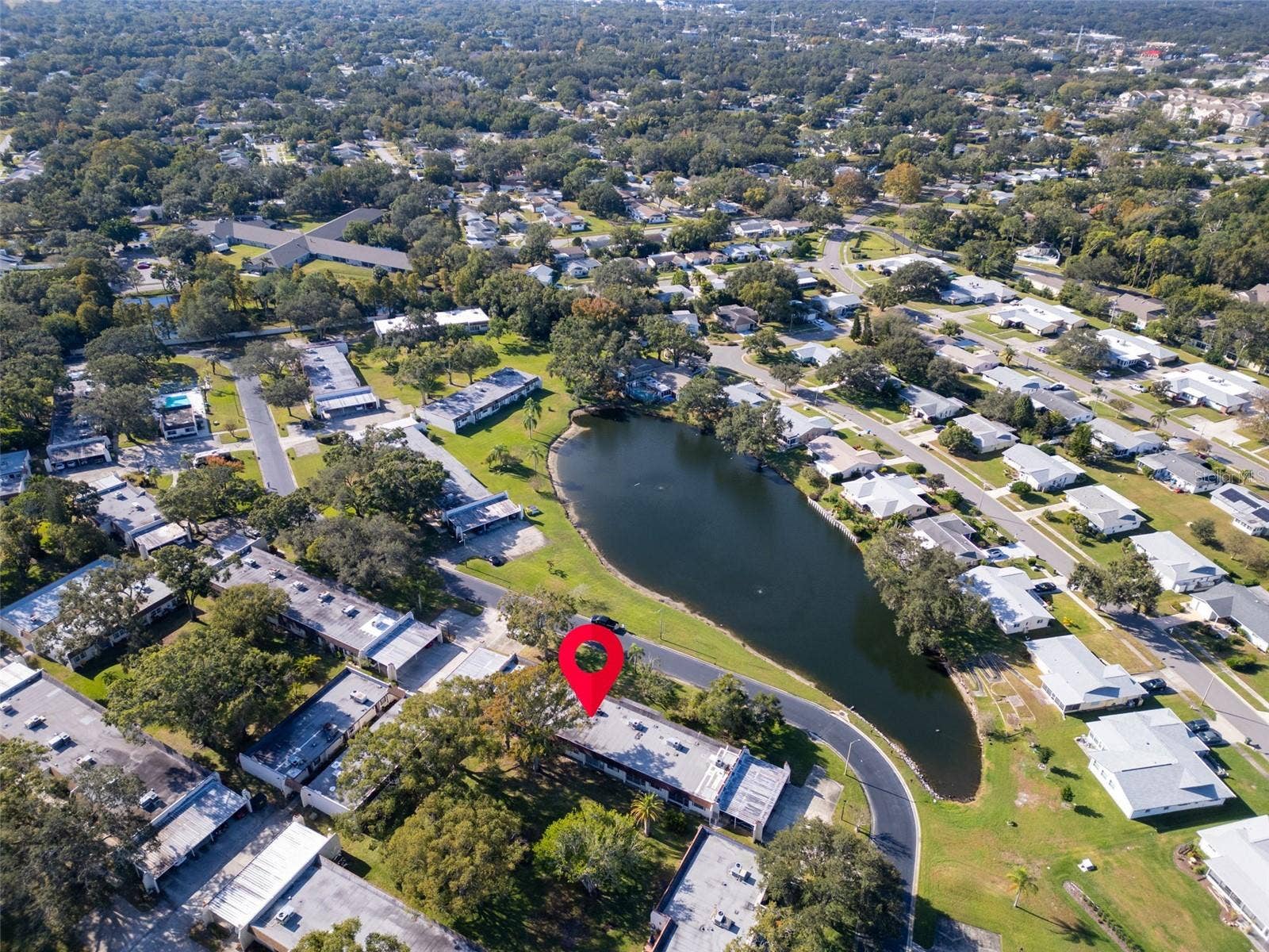 3109 MISSION GROVE DRIVE, #D, Palm Harbor, FL 34684 3109 MISSION GROVE DRIVE, #D, Palm Harbor, FL 34684