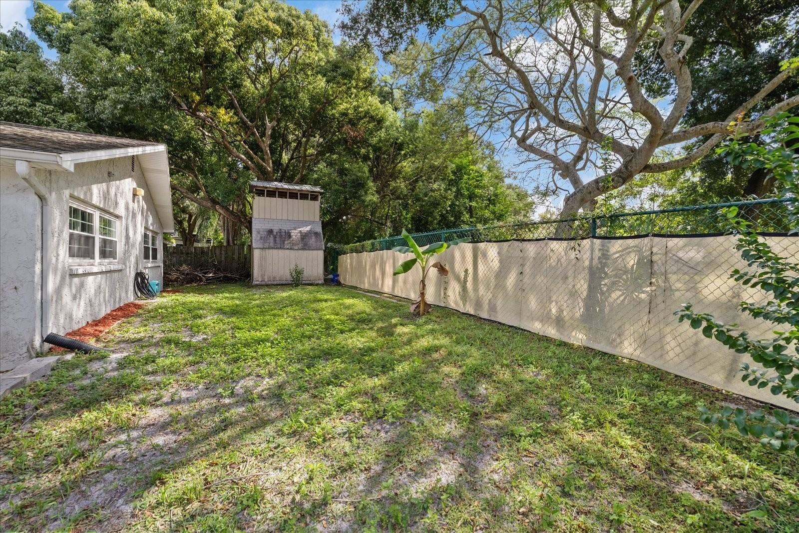 Fenced Backyard