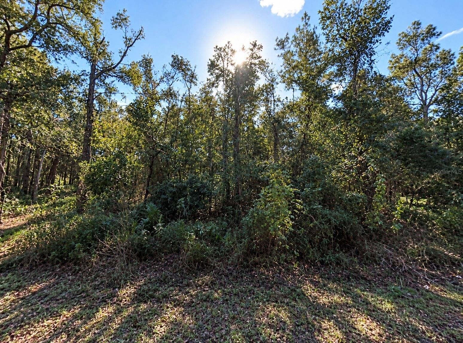 SW 8TH STREET, Ocala, FL 34481 SW 8TH STREET, Ocala, FL 34481