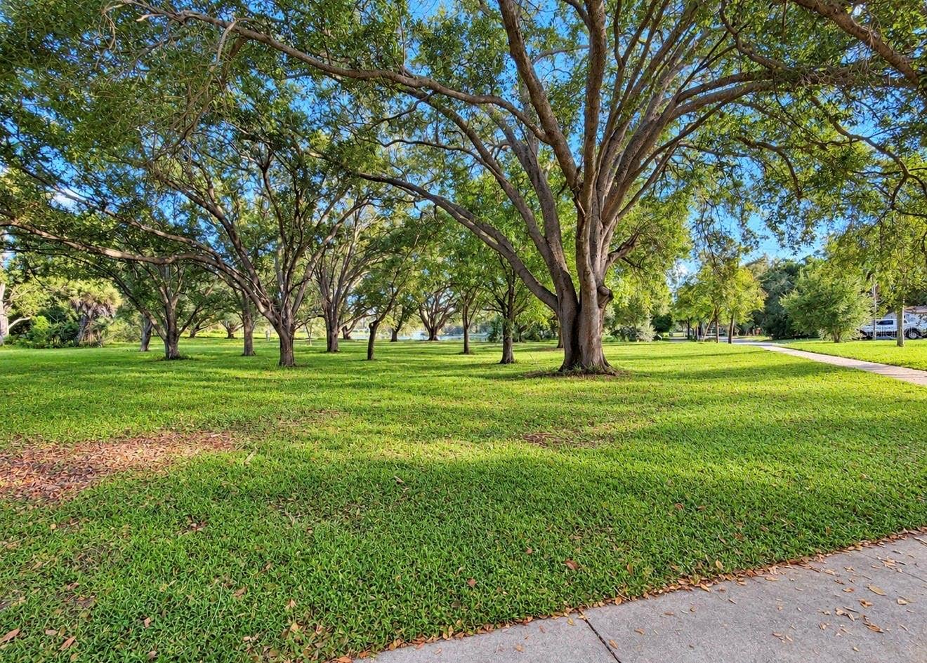 1231 ROSEWOOD STREET, Largo, FL 33770 Park like setting at the end of the block
