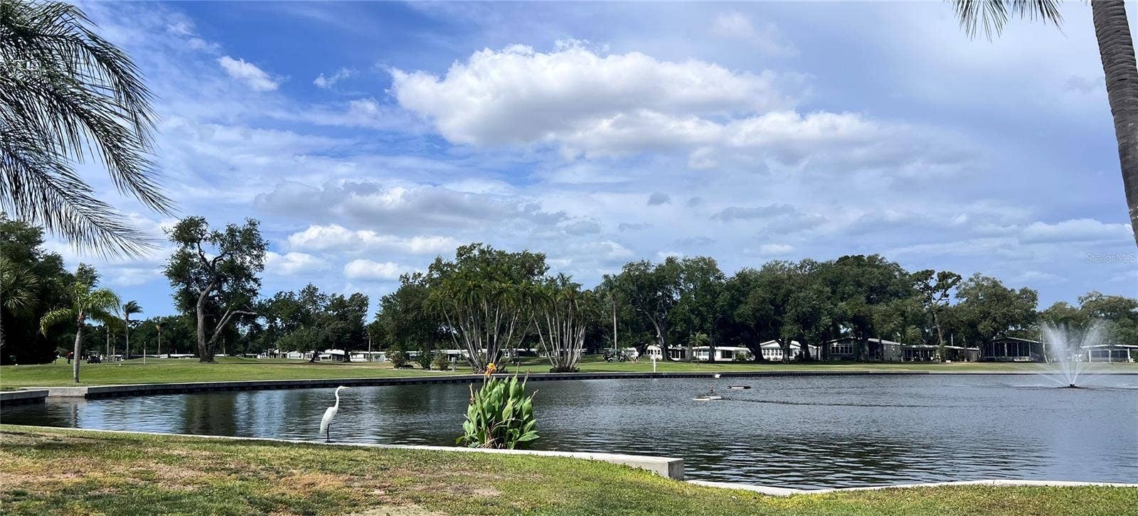 1100 BELCHER ROAD S, #713, Largo, FL 33771