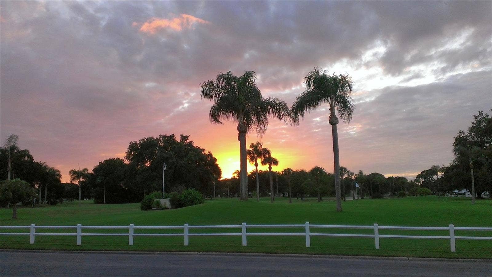1100 BELCHER ROAD S, #713, Largo, FL 33771