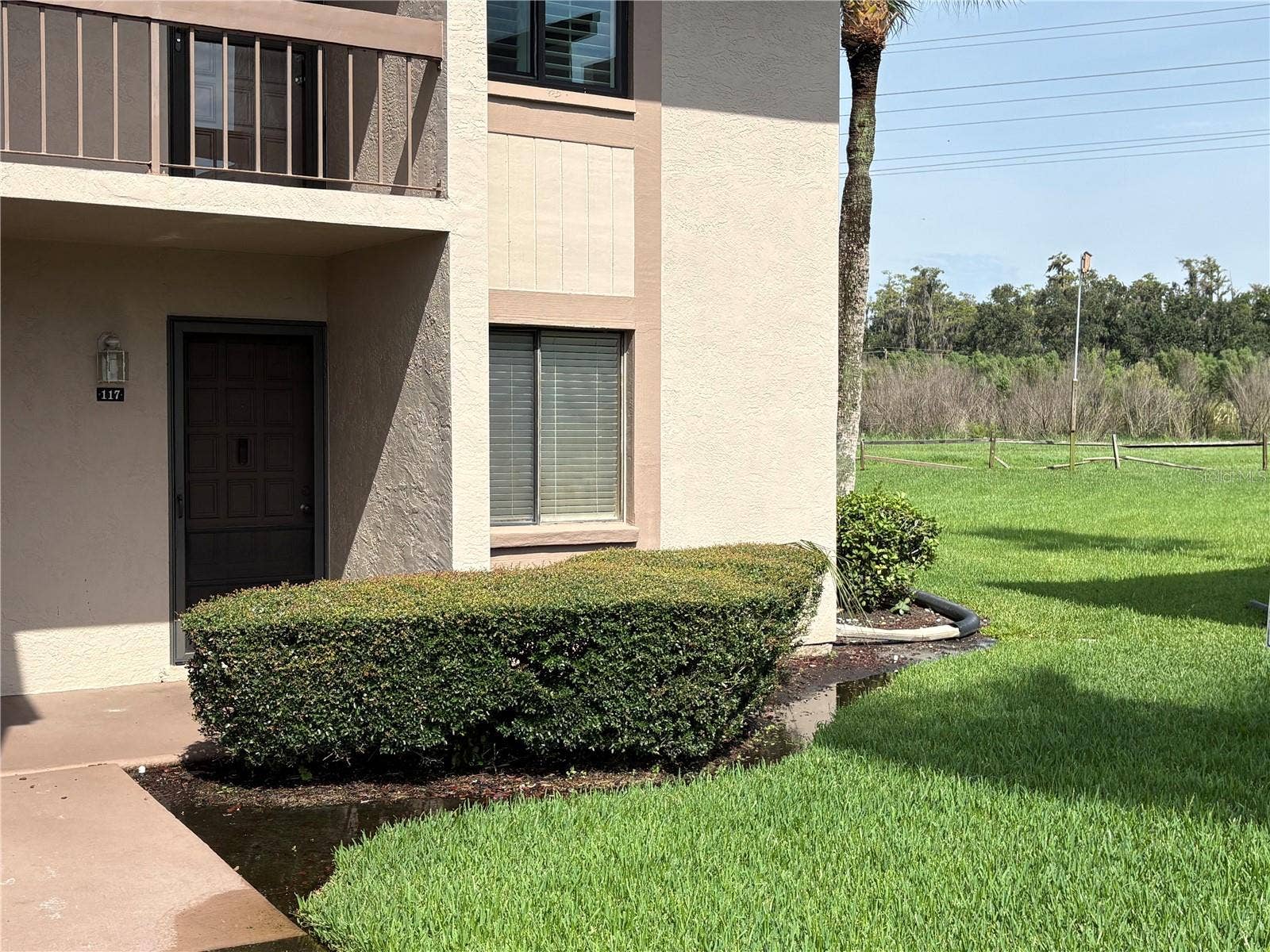117 CAMILLE COURT, #117, Oldsmar, FL 34677